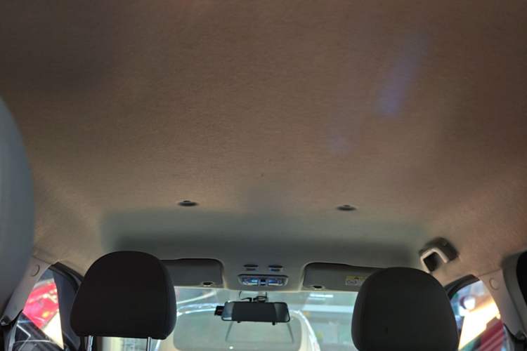 Used ORA White Cat 2020 305 km Luxury Version Headliner