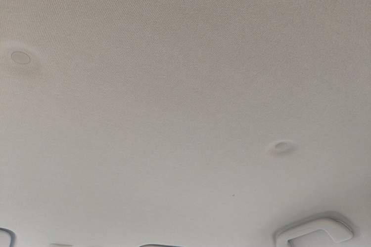 Used ORA White Cat 2020 401 km Flagship Version Headliner