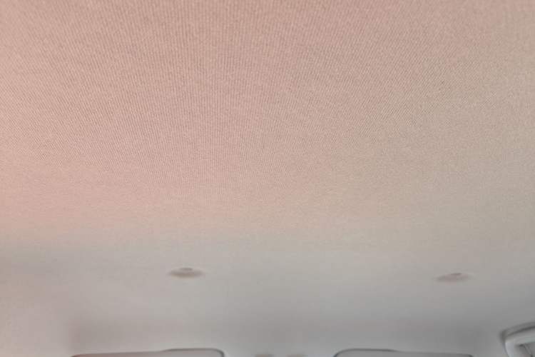 Used ORA White Cat 2020 305 km Luxury Version Headliner