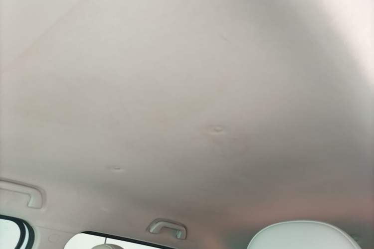 Used ORA White Cat 2020 360 km Luxury Version Headliner