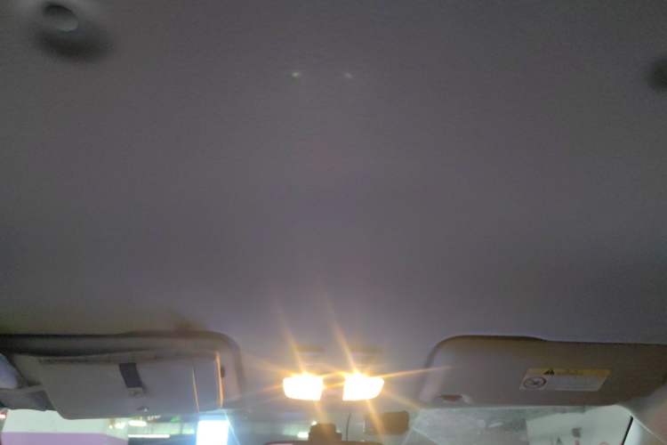 Used ORA White Cat 2020 305 km Luxury Version Headliner