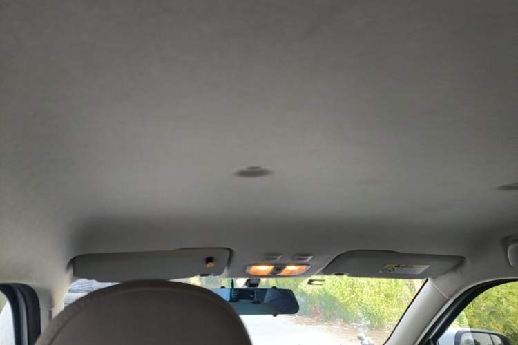 Used ORA White Cat 2020 305 km Luxury Version Headliner
