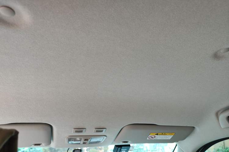 Used ORA White Cat 2020 360 km Luxury Version Headliner