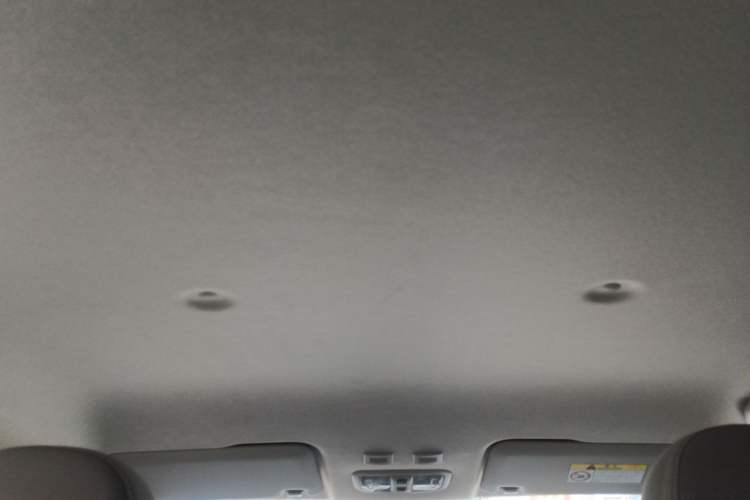 Used ORA White Cat 2020 360 km Luxury Version Headliner