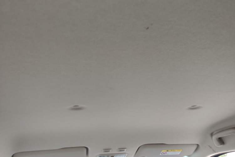 Used ORA White Cat 2020 360 km Luxury Version Headliner