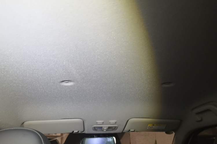 Used ORA White Cat 2020 305 km Luxury Version Headliner