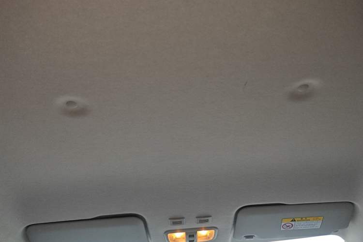 Used ORA White Cat 2020 305 km Luxury Version Headliner