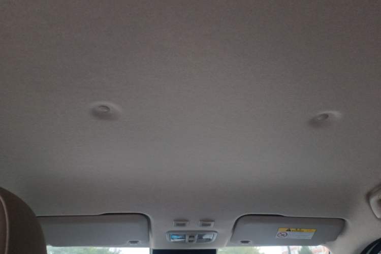 Used ORA White Cat 2020 401 km Flagship Version Headliner