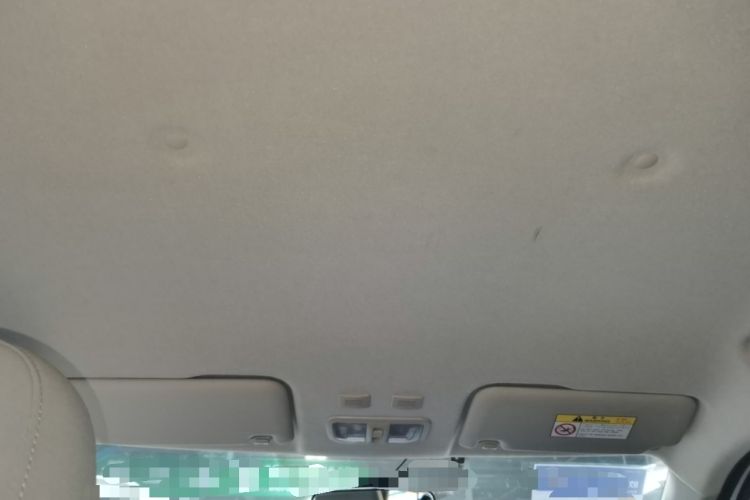 Used ORA White Cat 2020 305 km Luxury Version Headliner