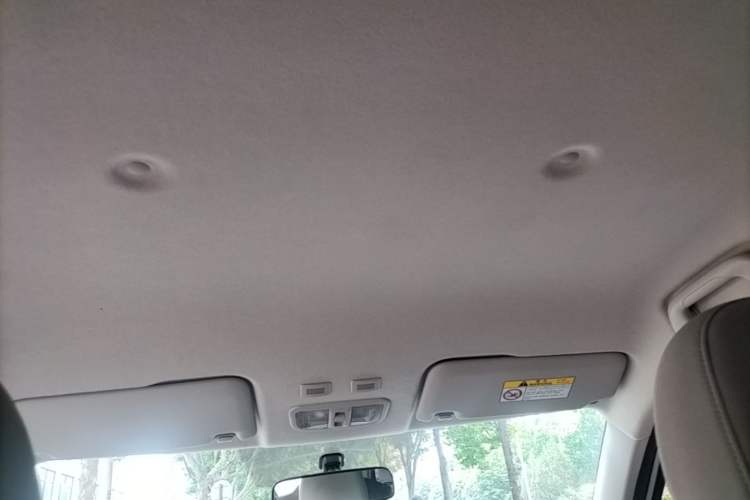 Used ORA White Cat 2020 360 km Luxury Version Headliner