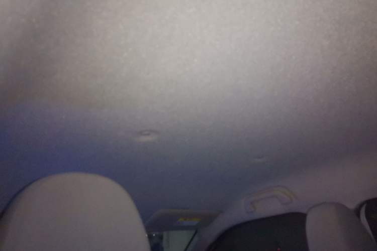 Used ORA White Cat 2020 305 km Luxury Version Headliner