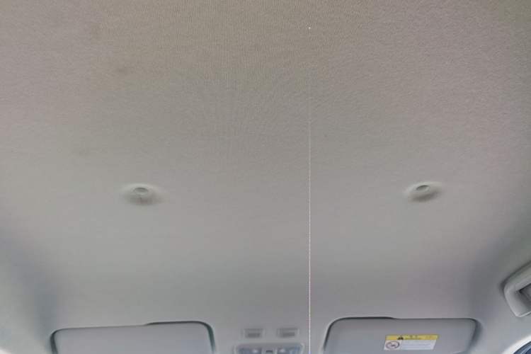 Used ORA White Cat 2020 360 km Luxury Version Headliner