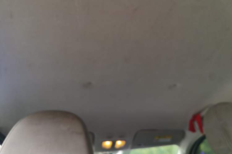 Used ORA White Cat 2020 360 km Luxury Version Headliner