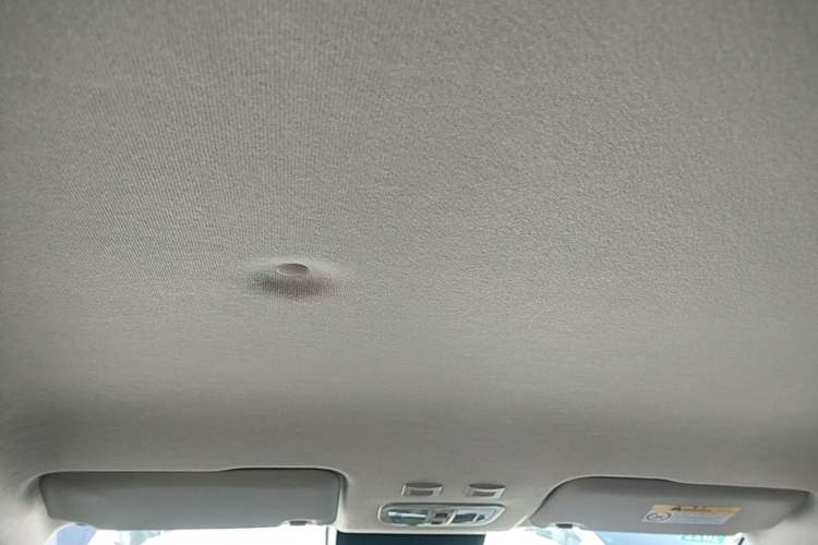Used ORA White Cat 2020 401 km Long-Range Version Headliner