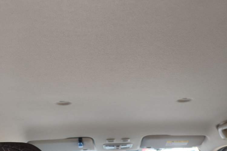 Used ORA White Cat 2020 360 km Luxury Version Headliner