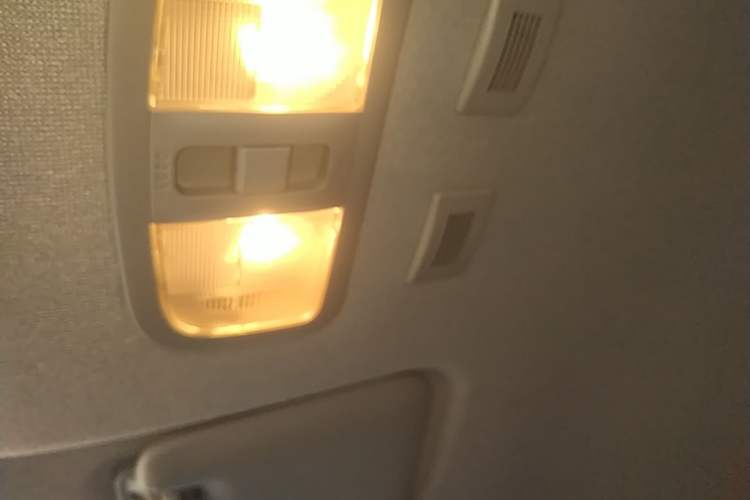 Used ORA White Cat 2020 401 km Flagship Version Headliner