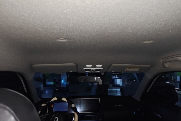 Used ORA White Cat 2020 305 km Luxury Version Headliner