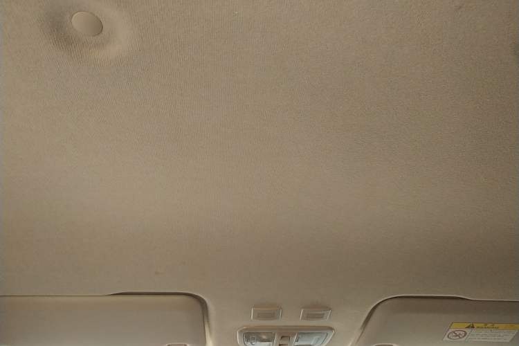 Used ORA White Cat 2020 305 km Luxury Version Headliner