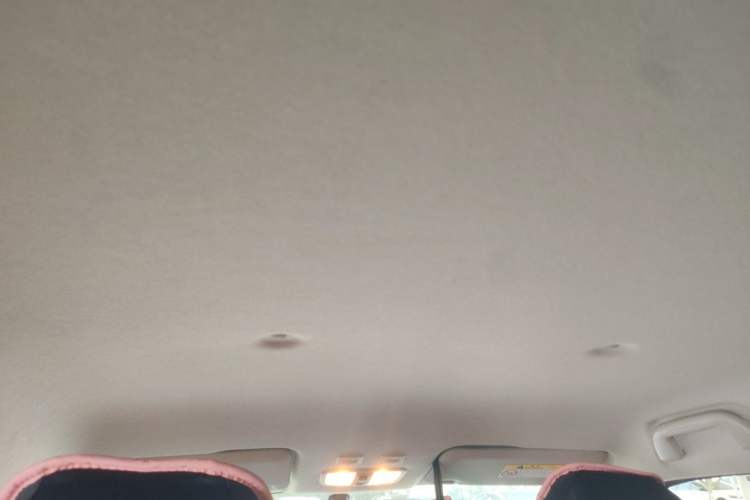 Used ORA White Cat 2020 305 km Luxury Version Headliner