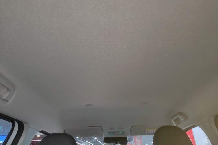 Used ORA White Cat 2020 401 km Flagship Version Headliner