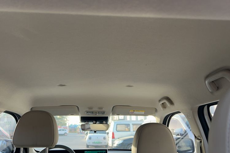 Used ORA White Cat 2020 401 km Flagship Version Headliner