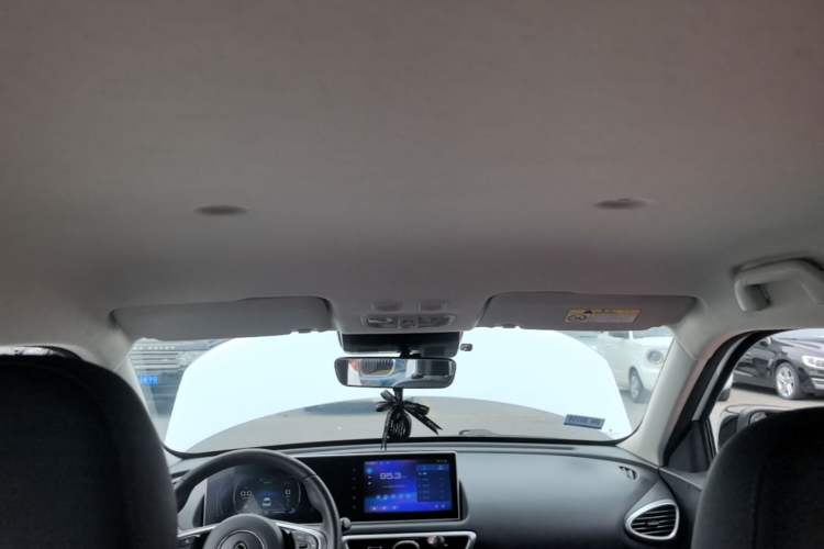 Used ORA White Cat 2020 401 km Flagship Version Headliner