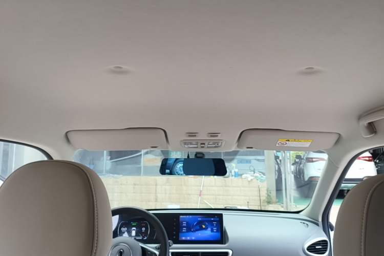 Used ORA White Cat 2020 360 km Luxury Version Headliner