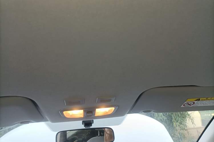 Used ORA White Cat 2020 360 km Luxury Version Headliner
