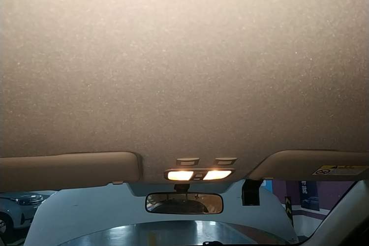 Used ORA White Cat 2020 401 km Long-Range Version Headliner