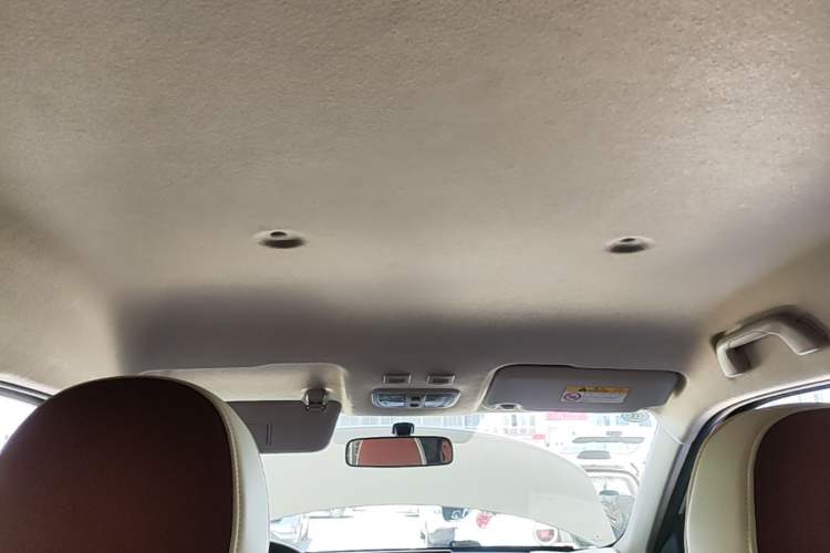 Used ORA White Cat 2020 305 km Luxury Version Headliner
