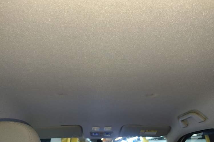 Used ORA White Cat 2020 360 km Luxury Version Headliner