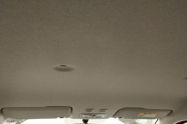 Used ORA White Cat 2020 360km Standard Version Headliner