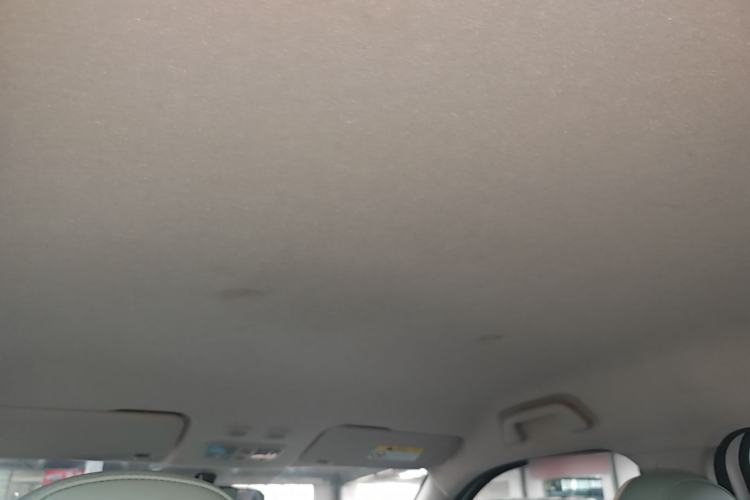 Used ORA White Cat 2020 305 km Luxury Version Headliner