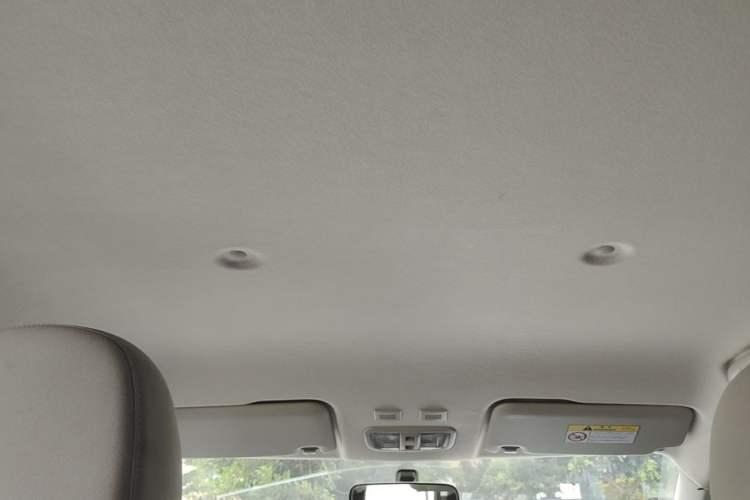 Used ORA White Cat 2020 305 km Luxury Version Headliner