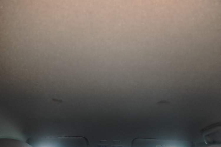 Used ORA White Cat 2020 360km Standard Version Headliner