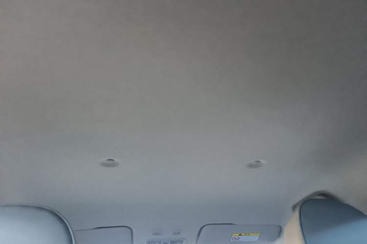 Used ORA White Cat 2020 305 km Luxury Version Headliner
