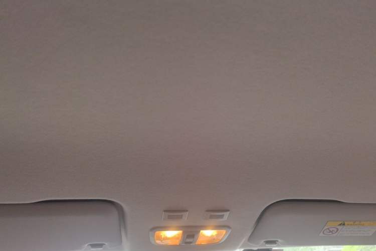 Used ORA White Cat 2020 360 km Luxury Version Headliner