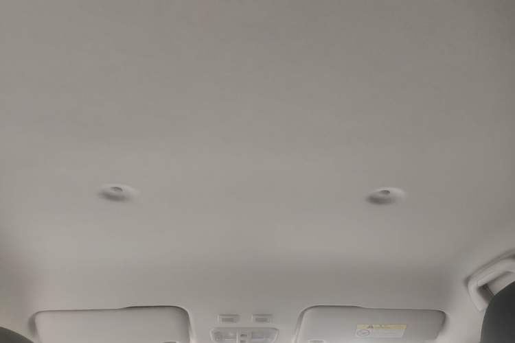 Used ORA White Cat 2020 401 km Long-Range Version Headliner
