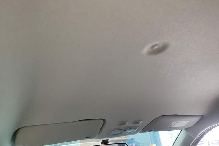 Used ORA White Cat 2020 305 km Luxury Version Headliner