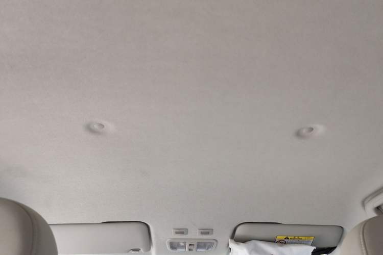Used ORA White Cat 2020 305 km Luxury Version Headliner
