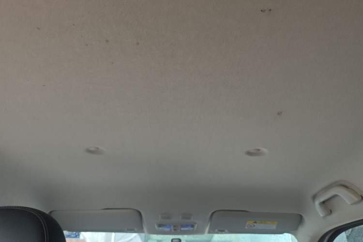 Used ORA White Cat 2020 360 km Luxury Version Headliner
