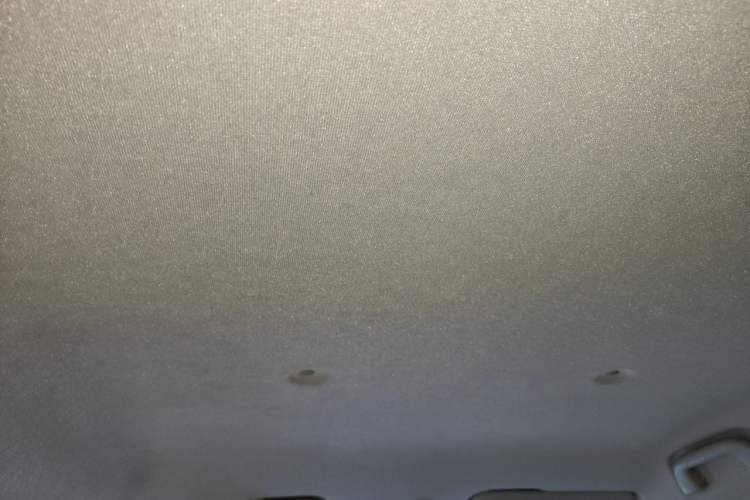 Used ORA White Cat 2020 305 km Luxury Version Headliner
