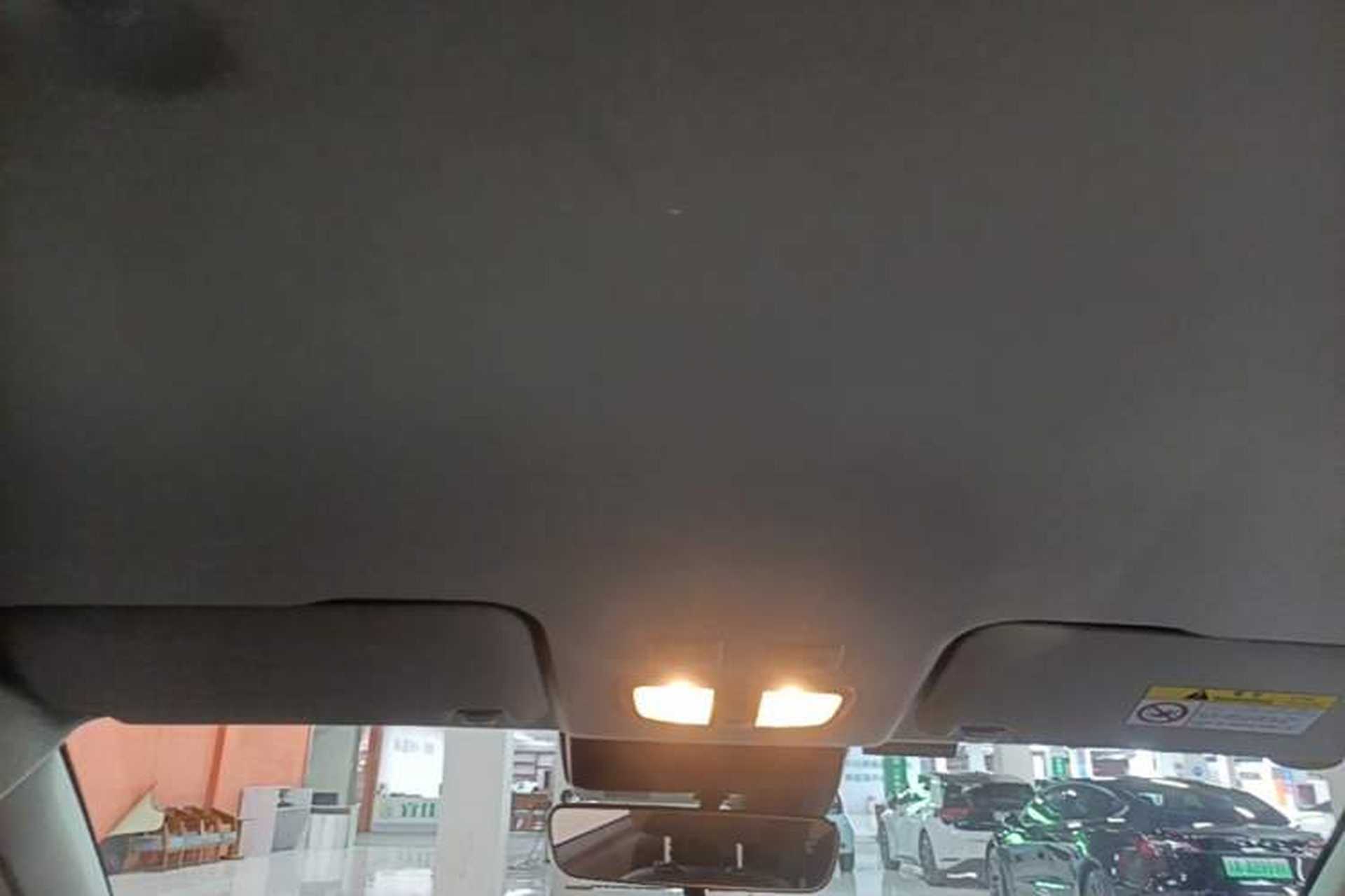 Used ORA White Cat 2020 401 km Flagship Version Headliner