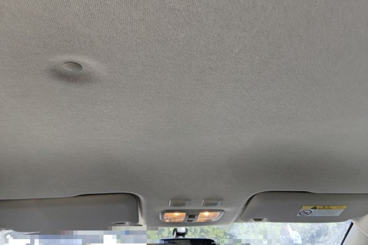 Used ORA White Cat 2020 305 km Luxury Version Headliner