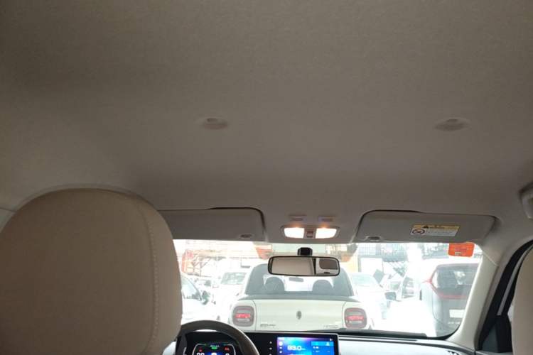 Used ORA White Cat 2020 360 km Luxury Version Headliner