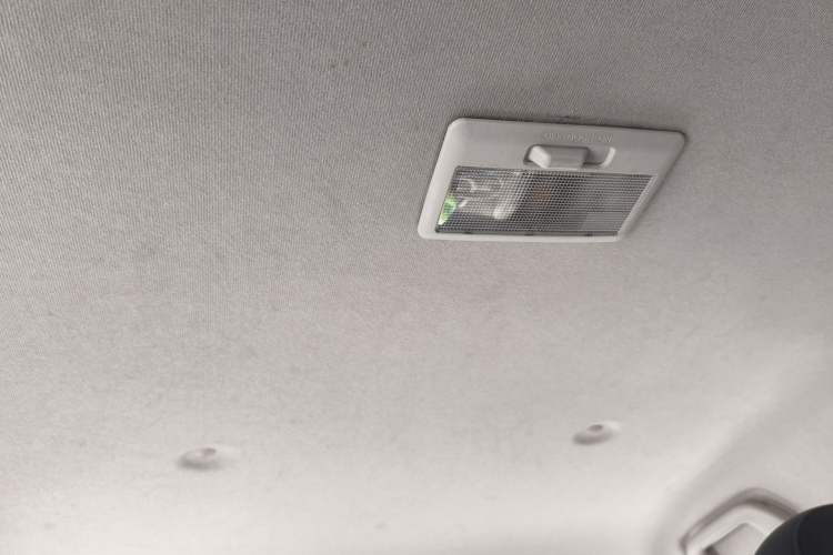 Used ORA White Cat 2020 401 km Flagship Version Headliner