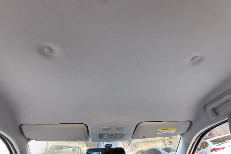 Used ORA White Cat 2020 305 km Luxury Version Headliner