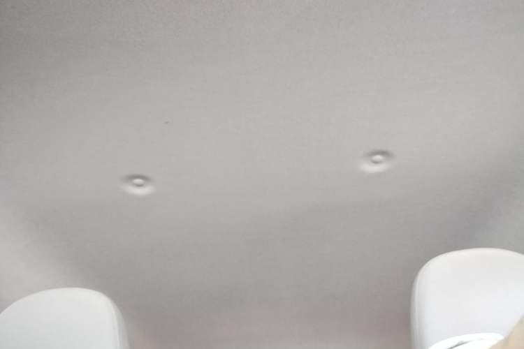 Used ORA White Cat 2020 305 km Luxury Version Headliner