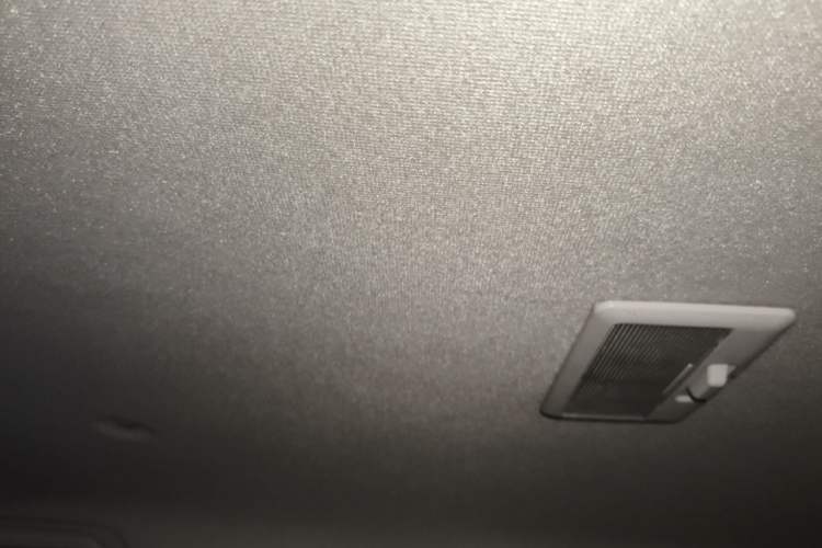 Used ORA White Cat 2020 401 km Flagship Version Headliner