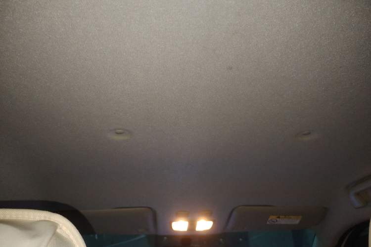 Used ORA White Cat 2020 360km Standard Version Headliner
